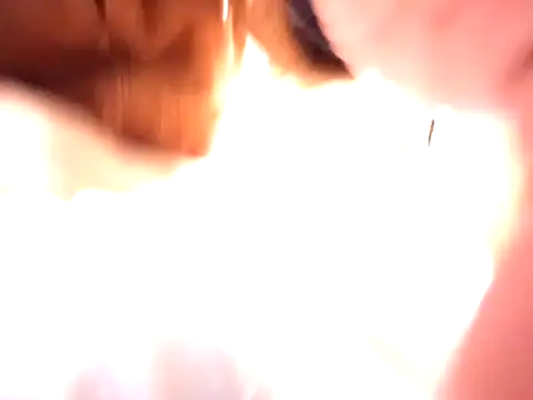 Snapshot of pnp0Japan chatting on 31, 12, 2024 pnp0Japan online show from 31, 12, 2024