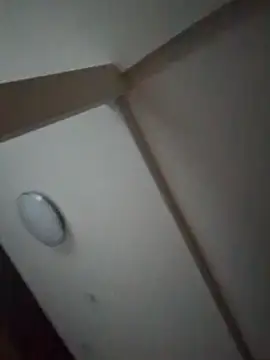 Snapshot of pnp0Japan chatting on 27, 2, 2025 pnp0Japan online show from 27, 2, 2025