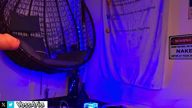 Snapshot of AriaVoss chatting on 20, 5, 2026 AriaVoss online show from 20, 5, 2026