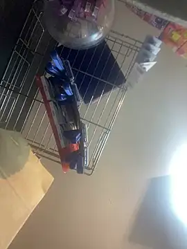 Snapshot of baruel-10 chatting on 5, 3, 2025 baruel-10 online show from 5, 3, 2025