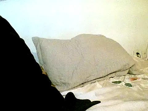 pollarikaaa online show from 14, 10, 2025