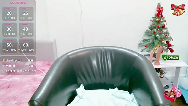 Snapshot of Rosa_Rosemary chatting on 26, 12, 2024 Rosa Rosemary online show from 26, 12, 2024