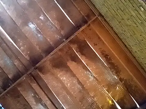 Pablunt-rap online show from 14, 11, 2025