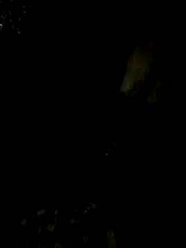 Tamil boy age28 online show from 15, 2, 2025