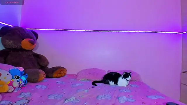 Canndy88htxx online show from 2, 12, 2025