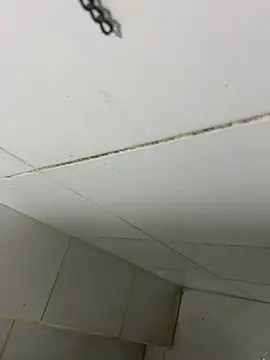 thfrances online show from 27, 2, 2026