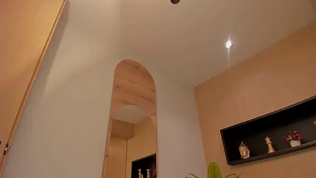 Snapshot of IrisBaker chatting on 21, 1, 2025 IrisBaker online show from 21, 1, 2025