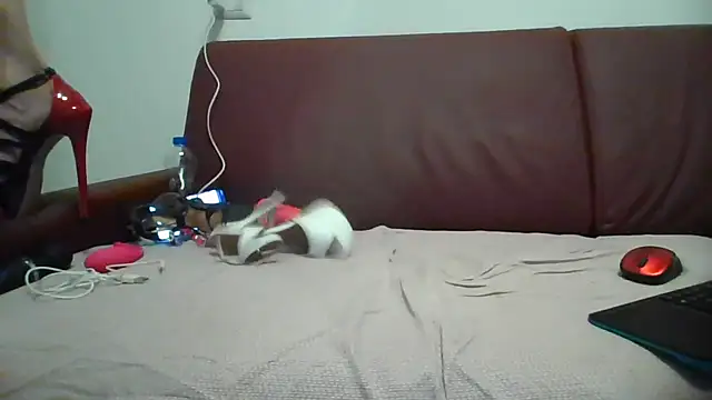 Danielasexy74 online show from 14, 11, 2025