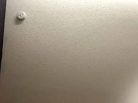 Snapshot of Bigbootylavishh chatting on 17, 12, 2025 Bigbootylavishh online show from 17, 12, 2025