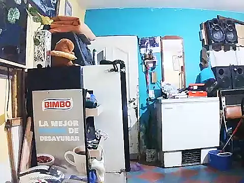 DiAntool online show from 18, 1, 2026