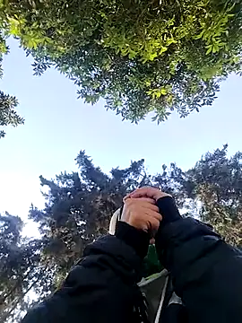 rebekka simpson online show from 5, 2, 2026