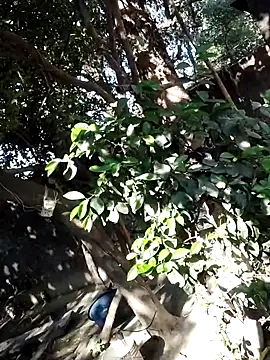 Hot-rubina online show from 6, 3, 2025