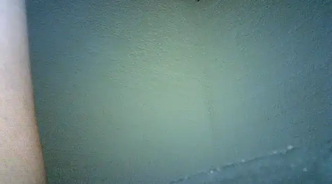 Snapshot of Bellabeltrann chatting on 25, 1, 2025 Bellabeltrann online show from 25, 1, 2025