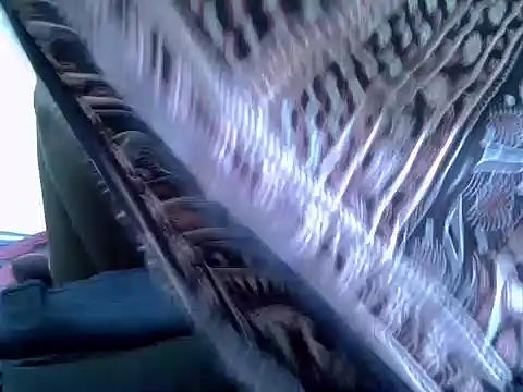 Snapshot of pointy_bloom chatting on 22, 11, 2025 pointy bloom online show from 22, 11, 2025