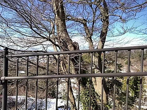 ge3noxxx online show from 7, 1, 2026