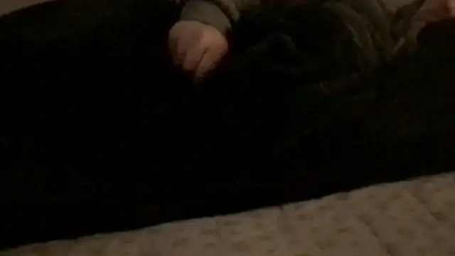 Rock Pierce online show from 28, 2, 2026