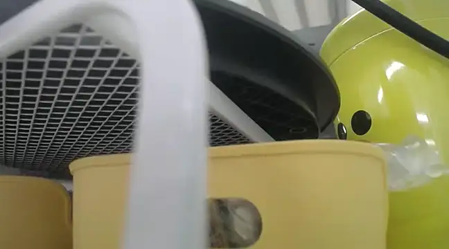 Lovensetest online show from 19, 12, 2024