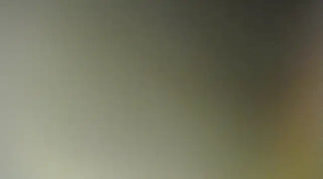 Lovensetest online show from 11, 3, 2025