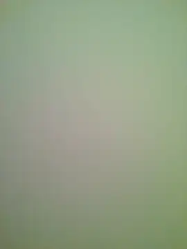 Lovensetest online show from 13, 2, 2026