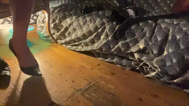 Snapshot of alexheels_boots chatting on 3, 12, 2025 alexheels boots online show from 3, 12, 2025