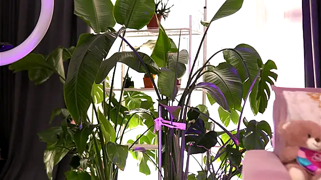 EmilyRaymont online show from 21, 9, 2025