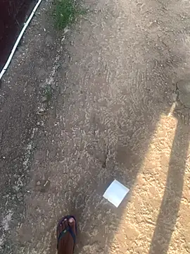 DManL online show from 13, 11, 2025