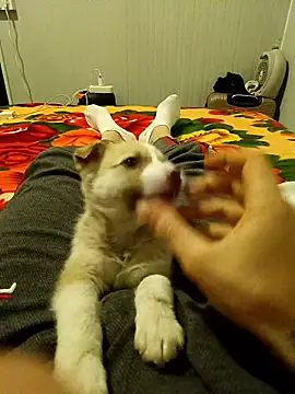 arenn1997 online show from 10, 1, 2026