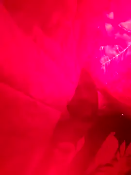 Snapshot of Lord-Sloppy chatting on 7, 12, 2024 Lord-Sloppy online show from 7, 12, 2024