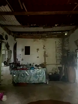 Snapshot of amy_gata chatting on 15, 11, 2025 amy gata online show from 15, 11, 2025