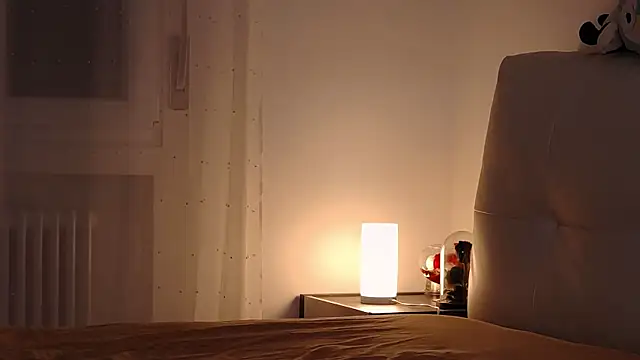 Snapshot of MariaMilan chatting on 11, 1, 2026 MariaMilan online show from 11, 1, 2026