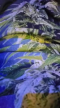 Snapshot of McdyllanXX chatting on 13, 2, 2025 McdyllanXX online show from 13, 2, 2025