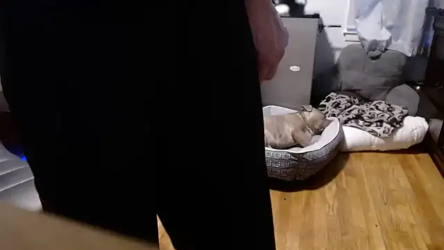 flexingplexico online show from 16, 2, 2026