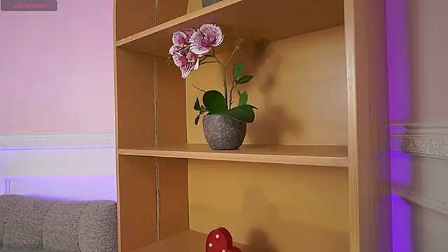 Anybuny online show from 7, 11, 2025