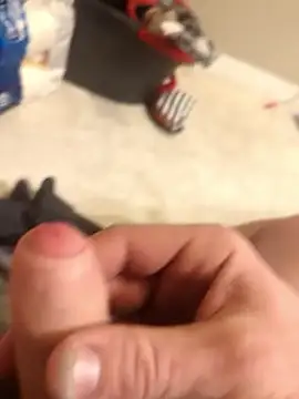 Snapshot of Bolo23693 chatting on 8, 2, 2025 Bolo23693 online show from 8, 2, 2025