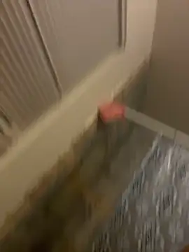 prettlovely14 online show from 20, 2, 2026