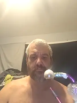 silkstroker6981 online show from 12, 2, 2026