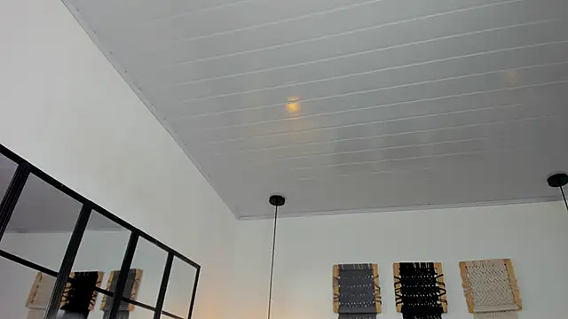 Snapshot of Sweet_camille chatting on 12, 1, 2026 Sweet camille online show from 12, 1, 2026