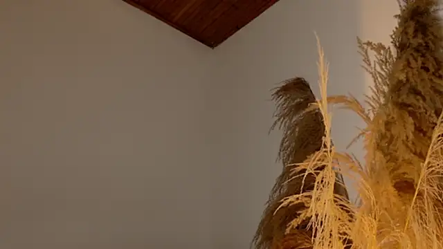 SaraFerreira online show from 12, 12, 2024