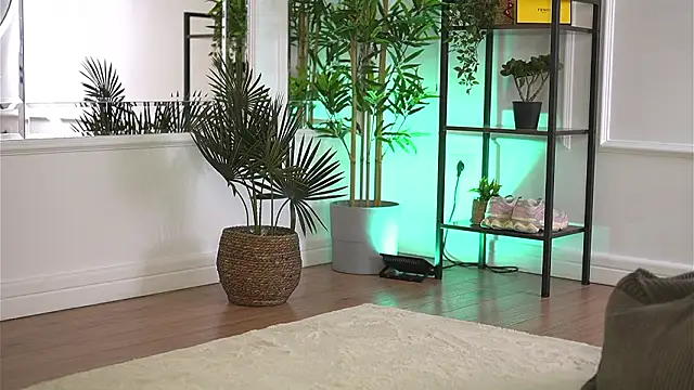 Cherrysweett online show from 6, 3, 2026