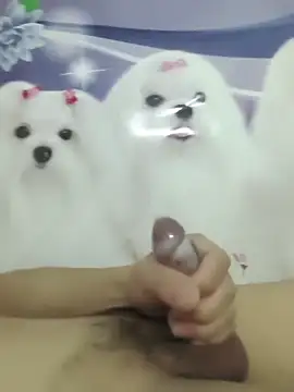 Snapshot of 826687 chatting on 2, 3, 2026 826687 online show from 2, 3, 2026