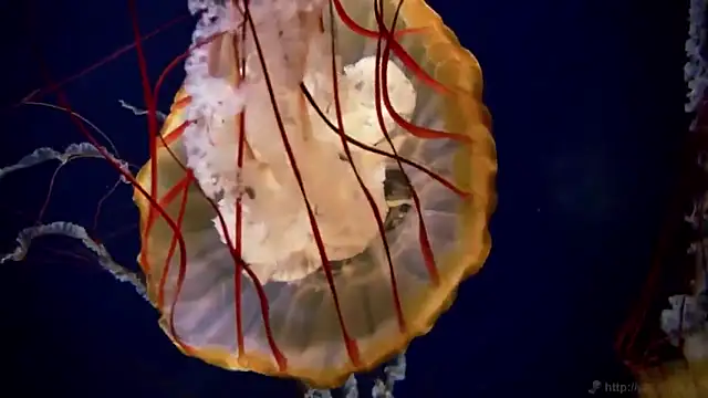 Snapshot of streamy_test12 chatting on 18, 11, 2025 streamy test12 online show from 18, 11, 2025