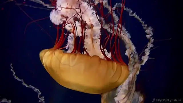 Snapshot of streamy_test13 chatting on 4, 2, 2025 streamy test13 online show from 4, 2, 2025