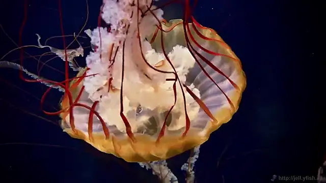 Snapshot of streamy_test13 chatting on 7, 10, 2025 streamy test13 online show from 7, 10, 2025