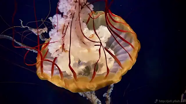 Snapshot of streamy_test15 chatting on 6, 11, 2025 streamy test15 online show from 6, 11, 2025