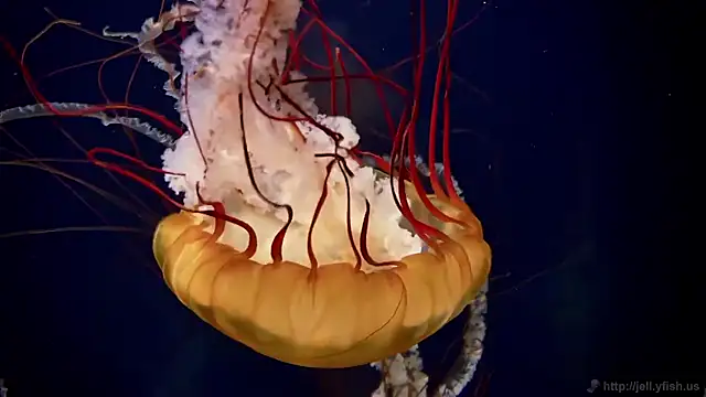 Snapshot of streamy_test15 chatting on 2, 12, 2025 streamy test15 online show from 2, 12, 2025