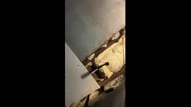 Manwhorxxlcock online show from 3, 3, 2026