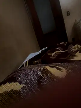 Snapshot of bigboy30X chatting on 21, 10, 2025 bigboy30X online show from 21, 10, 2025