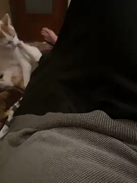 Snapshot of bigboy30X chatting on 31, 10, 2025 bigboy30X online show from 31, 10, 2025