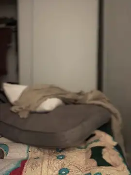 parTy20344 online show from 6, 12, 2024