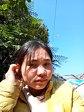 tamaien online show from 12, 1, 2025